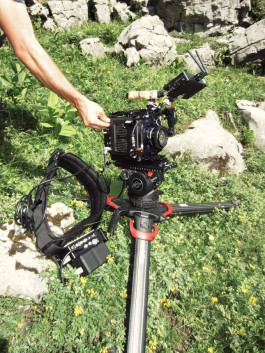 JULIUS OPPERMANN CINEMATOGRAPHER