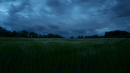 Julius Oppermann was the DP for the 