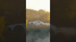 JULIUS OPPERMANN CINEMATOGRAPHER